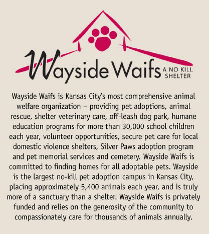 WaysideWaifs_WBF.jpg
