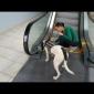 Embedded thumbnail for Max Rides The Escalator
