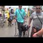 Embedded thumbnail for Jose Takes Sadie to Costco 