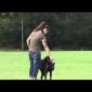 Embedded thumbnail for Astro Goes to the Park